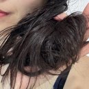 발리이미용재료 | 가는 모발 헤어오일 추천 이스티프 헤어에센스 후기