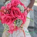 메리플라워 이미지