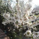 다움한의원 이미지