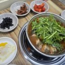 송탄동태이야기 이미지