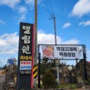 제주흑돼지알토란쌈밥 | 제주 조천맛집 밀림원 흑돼지 제육옥돔쌈밥 후기