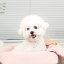 초량상로 이미지