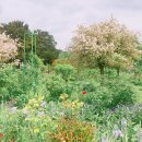 모네의 정원 이미지