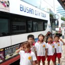 부산시티투어버스 이미지