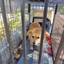 봉촌농장 이미지