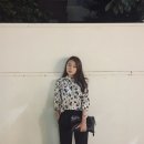 데일리모리 이미지