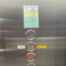 바이레마