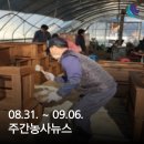 덕산문화복지공동체 농업회사법인(주) 헬스장 | 주간농사뉴스 2024.08.31.~09.06.