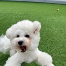 루이야 놀고 자고 GO 이미지