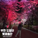 도당 공영 주차장 | 부천 벚꽃명소 도당산 벚꽃축제 개화상황 실시간 방문후기