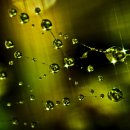 성현에너지 이미지