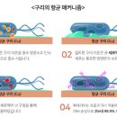 갑-210 이미지