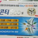 관절염에 좋은 &lt; 콘티 600 &gt;을 소개합니다. 이미지