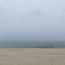 심무물욕 이미지