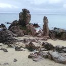 동해바다 이미지