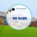 멍스클럽 | 충남 태안 애견 풀빌라 대형견 독채 멍스클럽 수영장 펜션 해수풀 실검증 29kg 기준