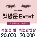 신비속눈썹 - 강남구 논현동 | 신비속눈썹