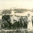 의학박물관 이미지