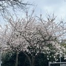 서호새마을금고 이미지