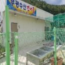 송암리 이미지
