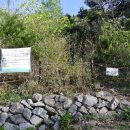 엄사초등학교 이미지