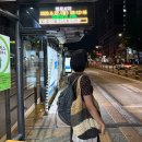 제주여행 당일치기 새벽 6시 첫 비행기, N26 심야버스 후기