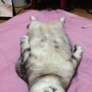 둘레길민박 이미지