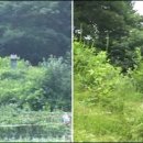 명종농장 이미지