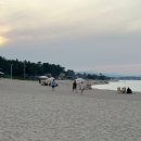 파라펜션 민박 이미지