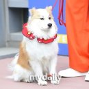 양희 - 부산진구 | 양희