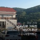 소나무향기펜션 이미지