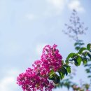 섬내공원 화장실 이미지