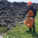 한동환해장성 이미지