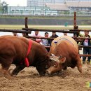 한밭축산 이미지