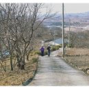 야동회관 이미지