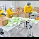 인제군장애인보호작업장 이미지