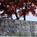 진산자연휴양림 이미지