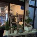 제주이즈 이미지