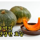 호박’의 건강한 효능 7가지 이미지