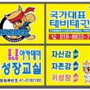 국가대표 태비태권도 이미지