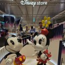 애견나라 백화점 이미지