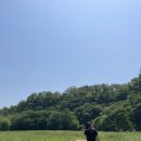 가족요가A | 대구 맞아? 맞아! 감성 제주 느낌 물씬🌱 첫 요가 스냅 촬영 후기｜솔스냅 요가스냅