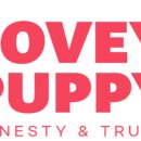 착한퍼피 이미지