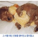 훅