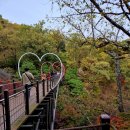 용인자연휴양림 이미지