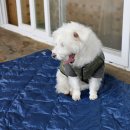 루이유치원 이미지