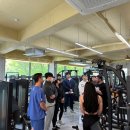 짐나빌레라 이미지