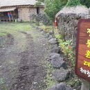 성읍민속마을 이미지