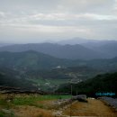 우듬지농장 이미지