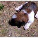 미수농장 이미지